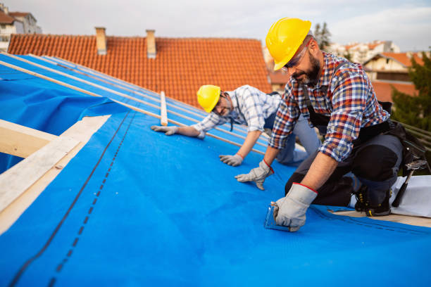 Best Storm Damage Roof Repair  in Medina, NY