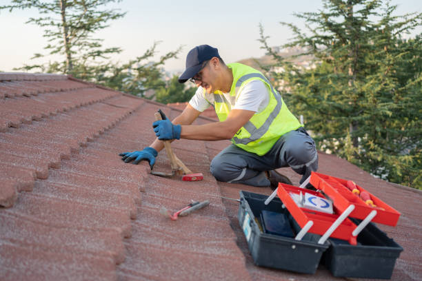 Best Roof Repair Services  in Medina, NY