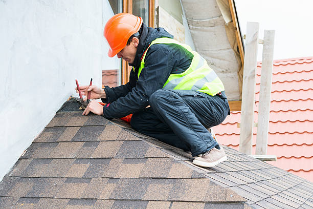 Best Metal Roofing Contractor  in Medina, NY