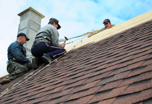 Roof Gutter Cleaning in Medina, NY